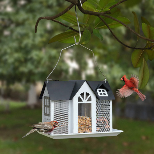 Kingsyard Bird Feeder House For Outside, Metal Mesh Wild Bird Feeder